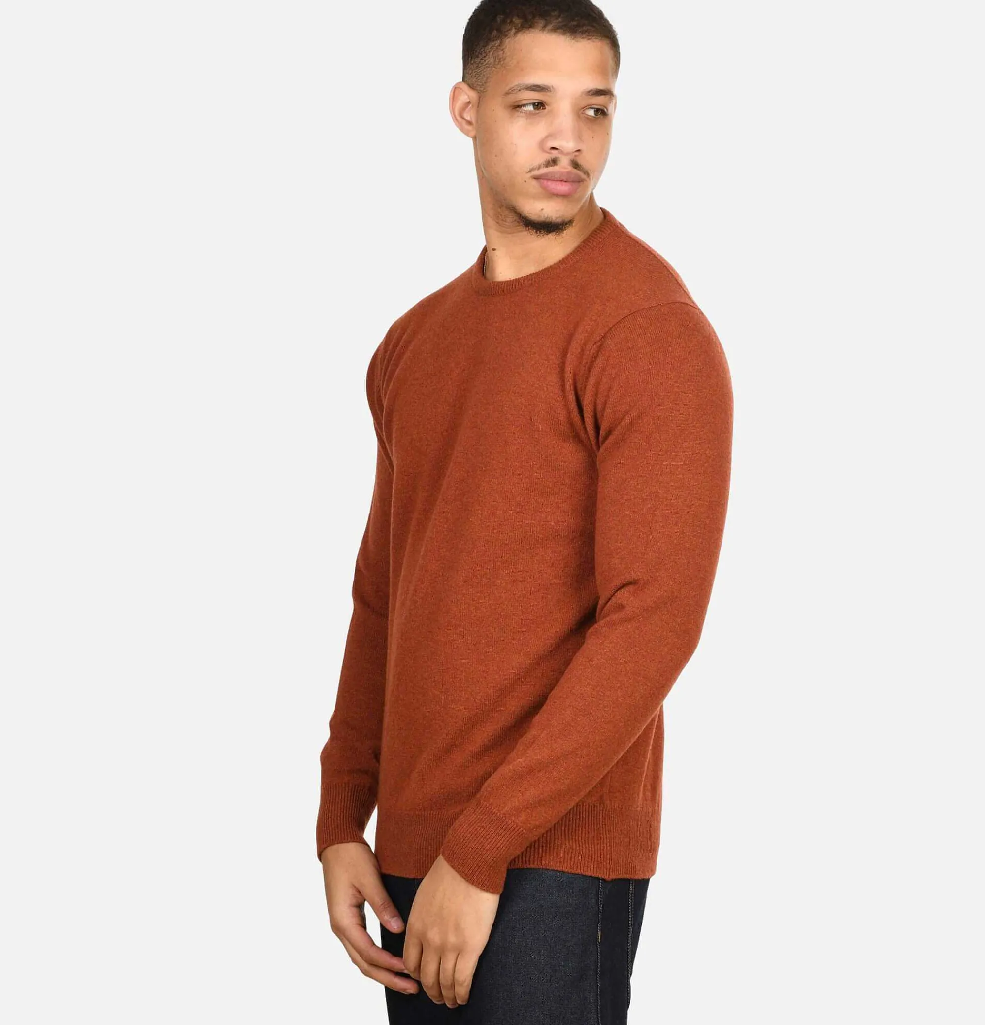 WILLIAM LOCKIE Round Neck Pullover Tiger