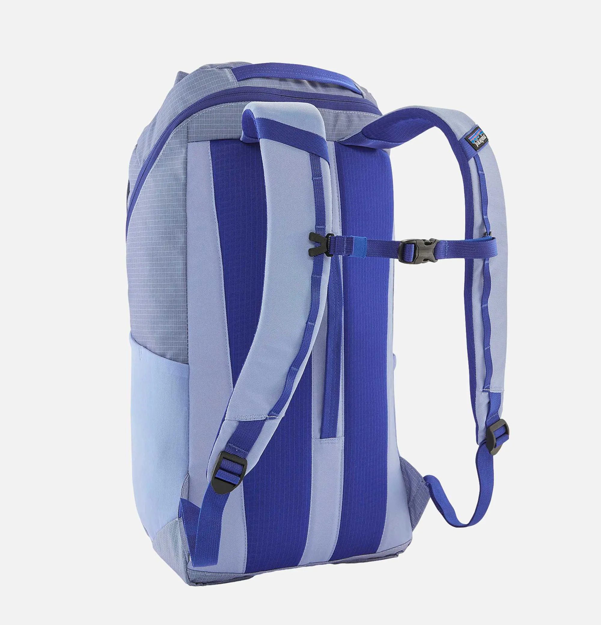 PATAGONIA ACCESSORIES Black Hole Pack 25L Pple