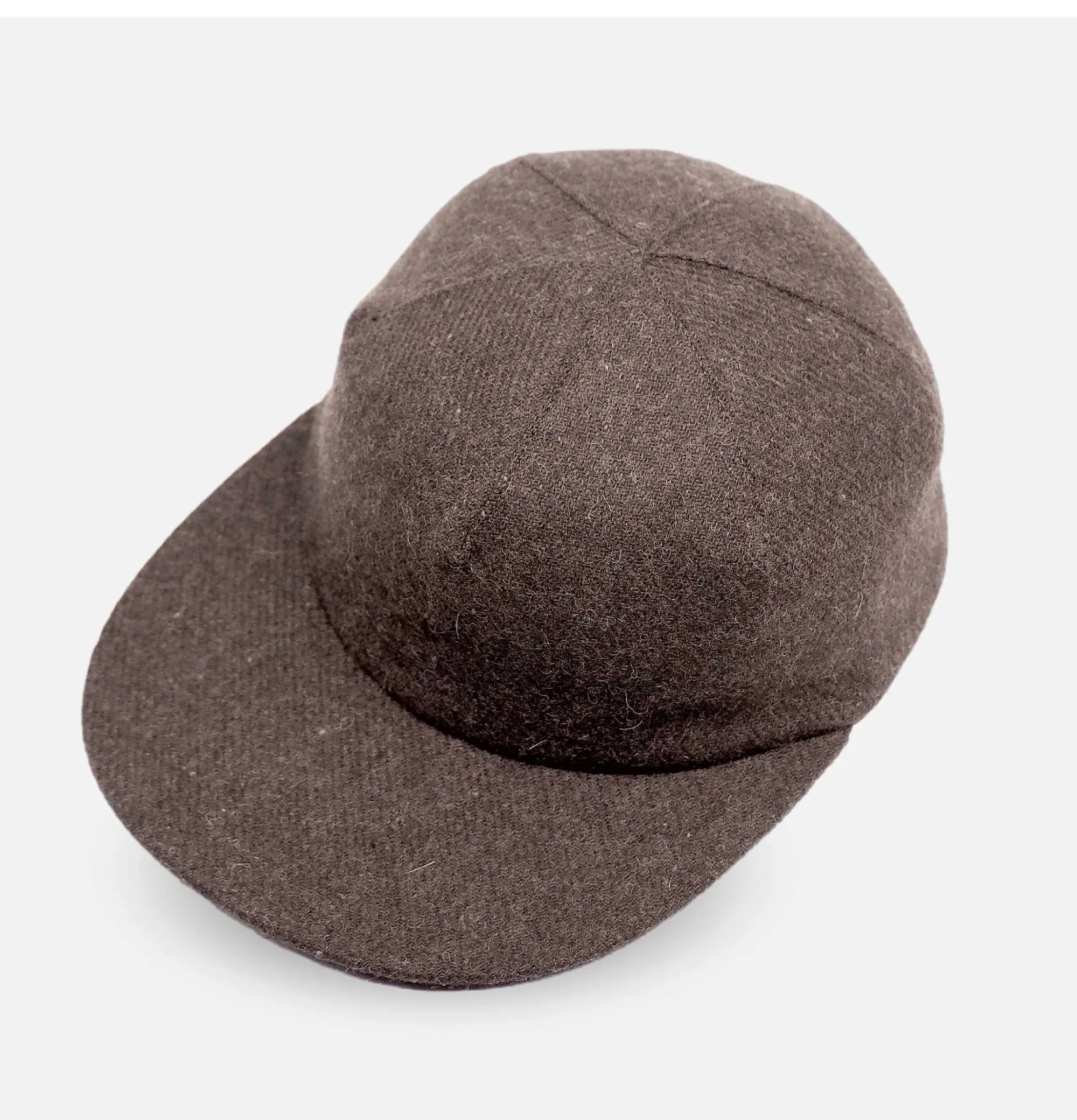 FOUND FEATHER Panel Cap Brown