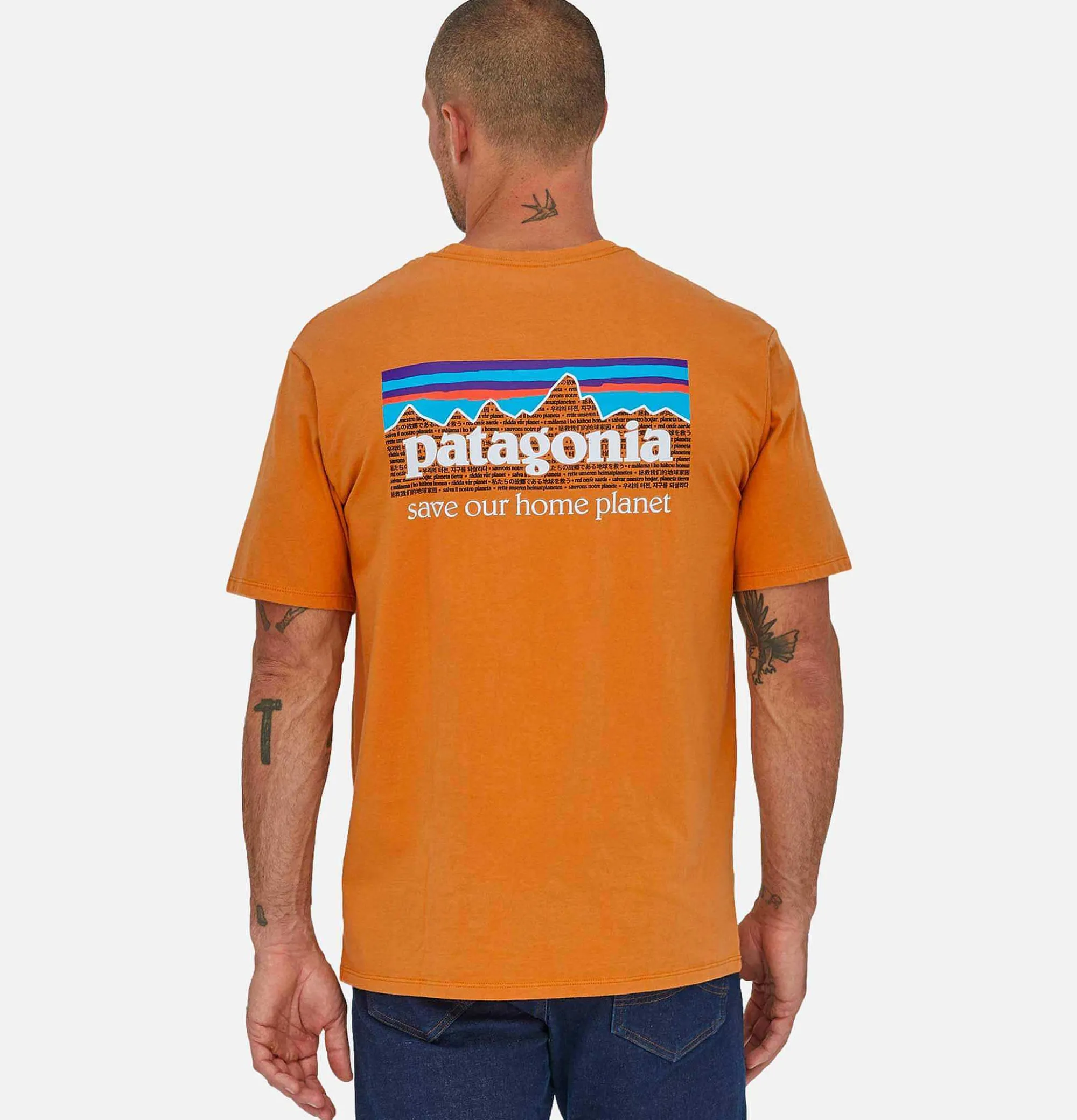 PATAGONIA P6 Mission T-Shirt Cloo